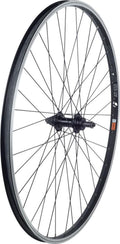 Roue Avant Bontrager AT550/FM21 29'' | 9x100mm