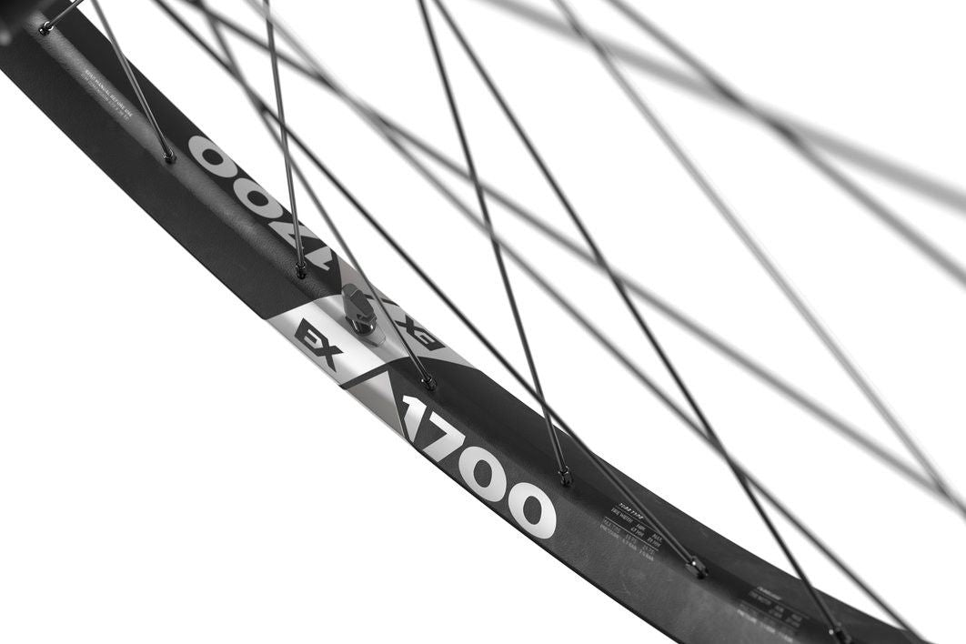 Roue Arrière DT Swiss EX 1700 Spline 29'' 30mm | Boost 12x148mm | 6 trous