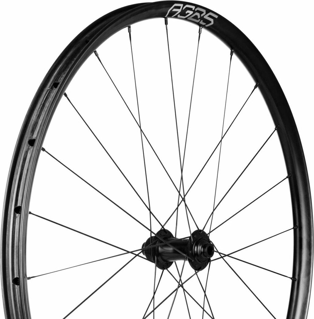 Paire de Roues Enve Foundation AG25 700c | 12X100 - 12x142mm | Centerlock