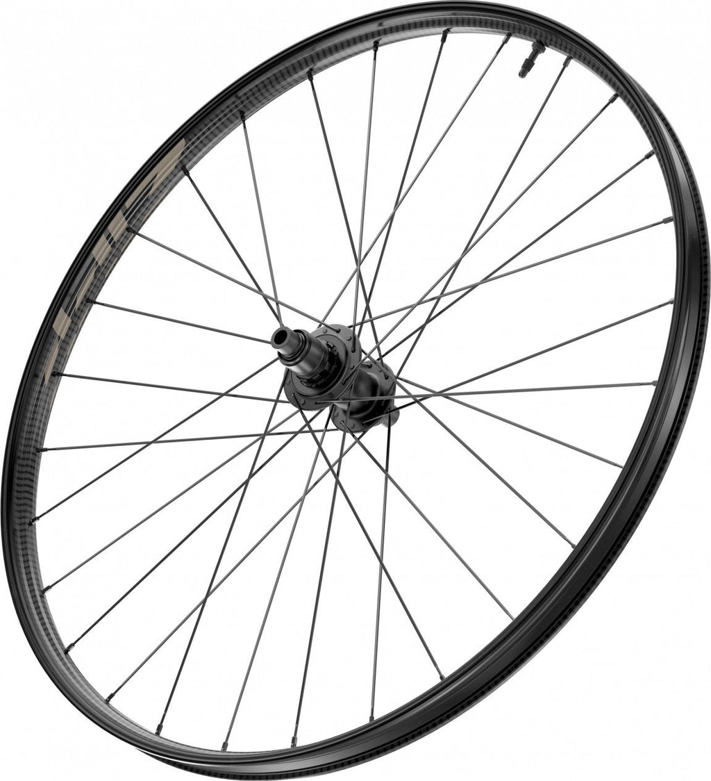 Roue Arrière Zipp 101 XPLR Tubeless 700 Disc | 12x142mm | Centerlock | Noir et Beige Kwiqsand