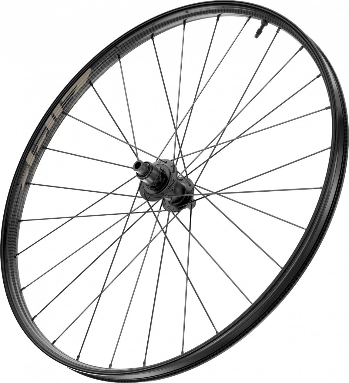 Roue Arrière Zipp 101 XPLR Tubeless 700 Disc | 12x142mm | Centerlock | Noir et Beige Kwiqsand