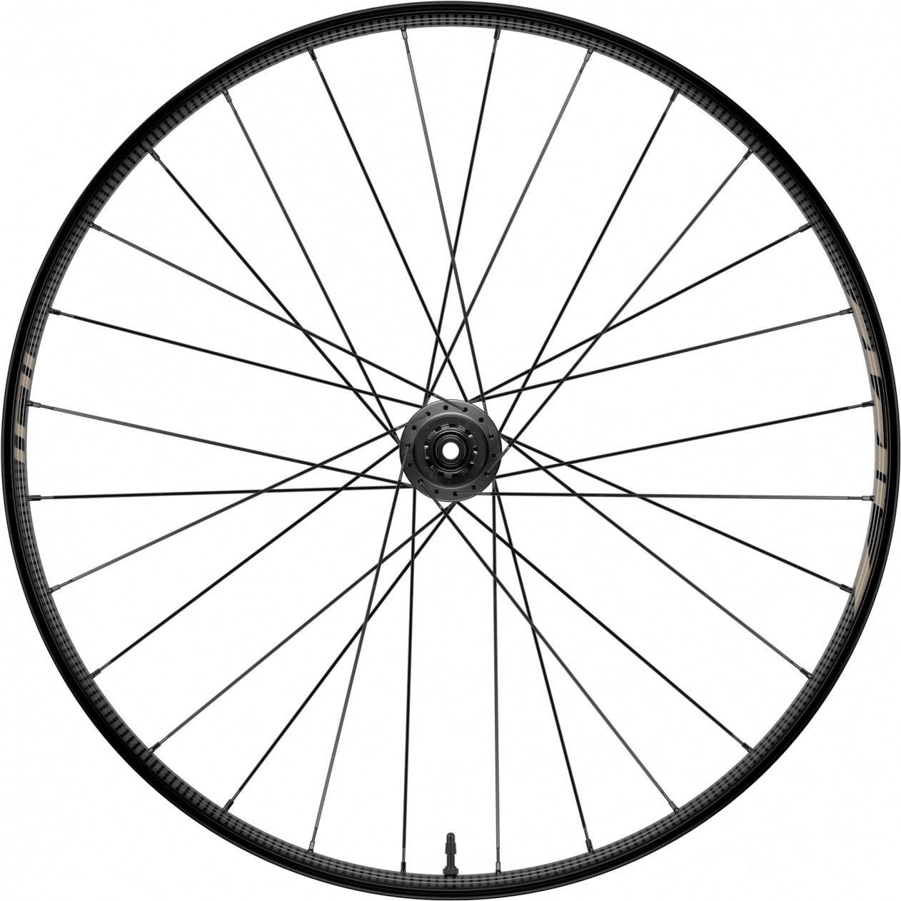 Roue Arrière Zipp 101 XPLR Tubeless 700 Disc | 12x142mm | Centerlock | Noir et Beige Kwiqsand