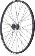 Roue avant 29  BLACKROCK 23 Thru-Axle 15x100mm ETRTO 23X622 Rodi