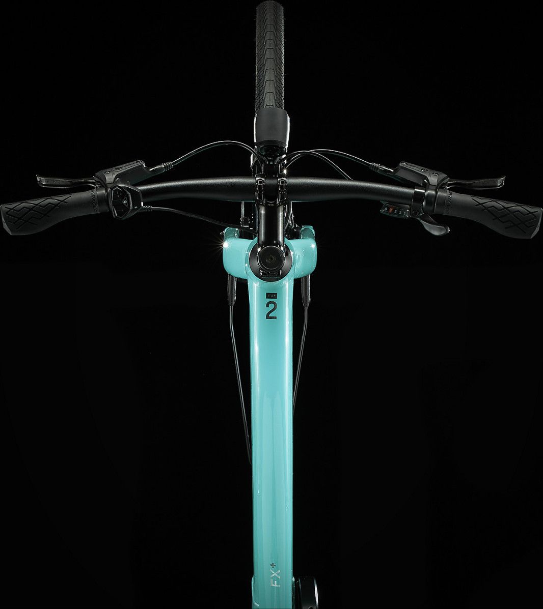 Vélo de Ville Électrique Trek FX+ 2 Shimano Altus 9V 250 Wh 700 mm Vert Sauge