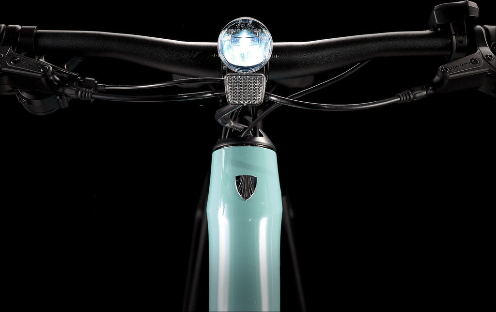 Vélo de Ville Électrique Trek FX+ 2 Shimano Altus 9V 250 Wh 700 mm Vert Sauge