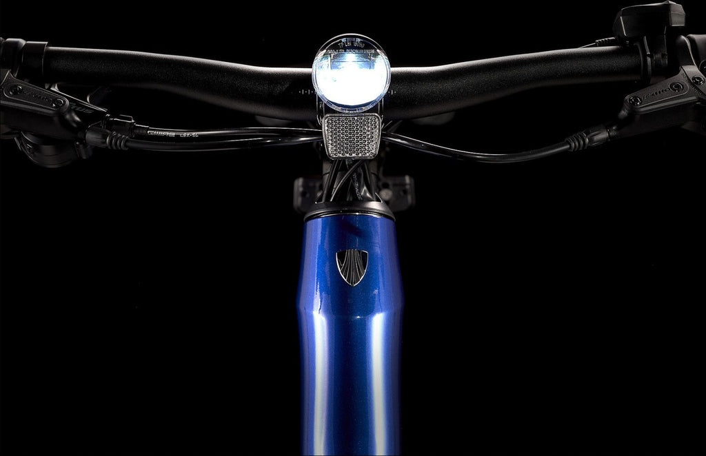 Vélo de Fitness Électrique Trek Dual Sport+ 2 Stagger Shimano Altus 9V 250 Wh 650 mm Bleu