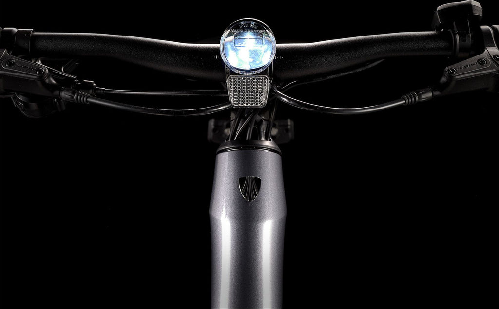 Vélo de Fitness Électrique Trek Dual Sport+ 2 Stagger Shimano Altus 9V 250 Wh 650 mm Gris