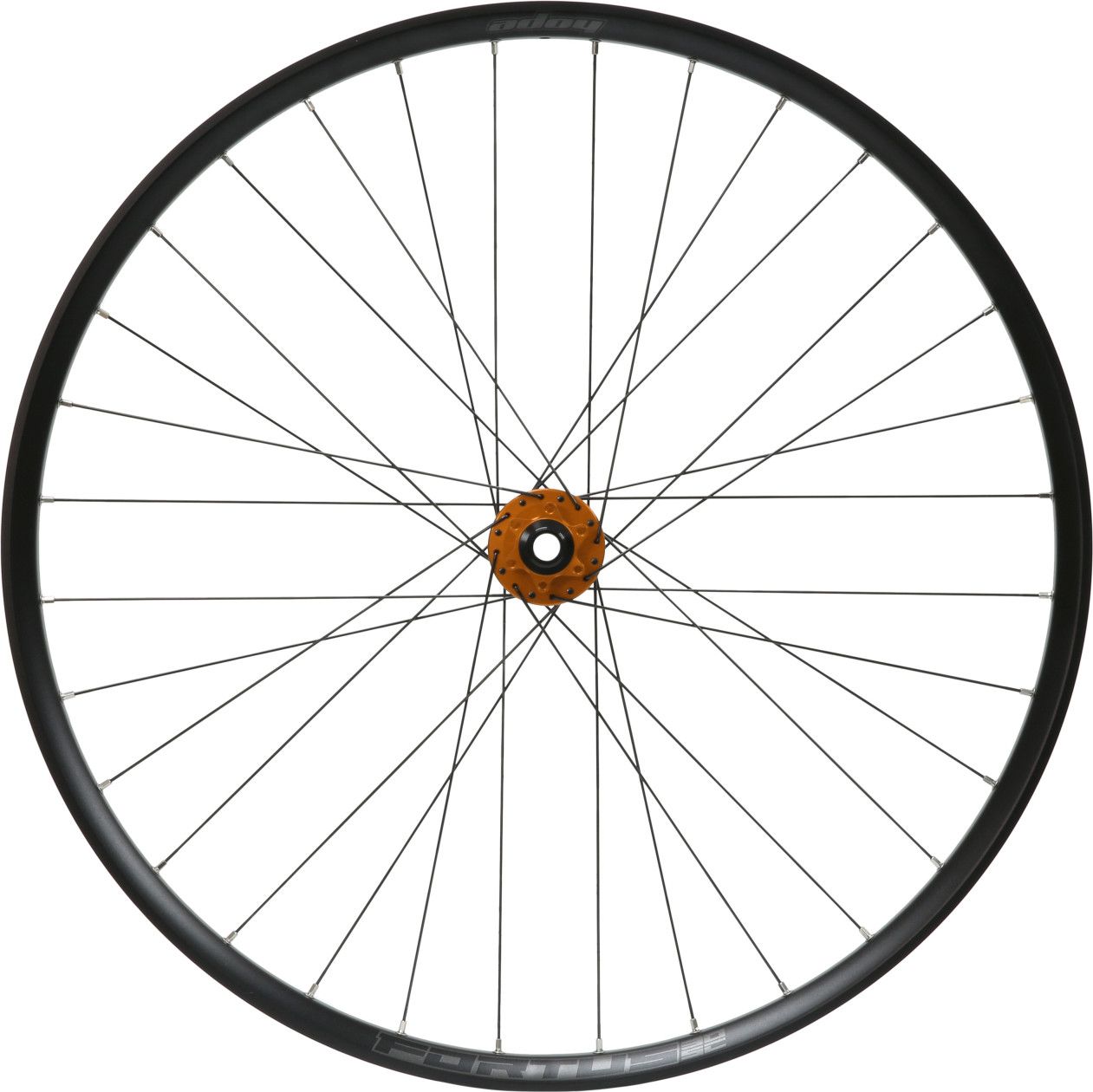 Roue Avant Hope Fortus 30W SC Pro 5 29'' | Boost 15x110 mm | 6 Trous | Bleu