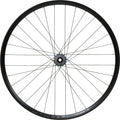 Roue Avant Hope Fortus 30W Pro 5 29'' | Boost 15x110 mm | 6 Trous | Argent