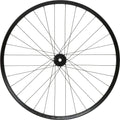 Roue Avant Hope Fortus 35W Pro 5 29'' | Boost 15x110 mm | 6 Trous | Noir