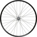 Roue Avant Hope Fortus 35W Pro 5 29'' | Boost 15x110 mm | 6 Trous | Argent