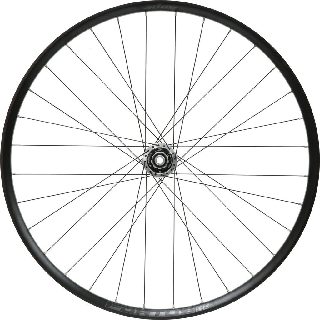 Roue Arrière Hope Fortus 30W SC Pro 5 29'' | Boost 12x148 mm | CenterLock | Argent