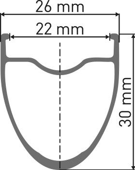 Roue Arrière DT Swiss E 1800 Spline 30 | 12x142mm | Centerlock