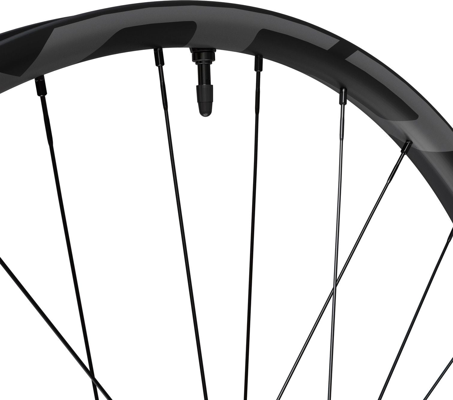 Roue Arrière Shimano XTR Enduro WH-M9220 29'' | Boost 12x148 mm | Center Lock