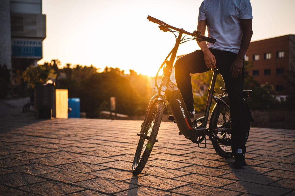 Vélo Electrique Pliant Flebi Swan 24  White | Roues 24