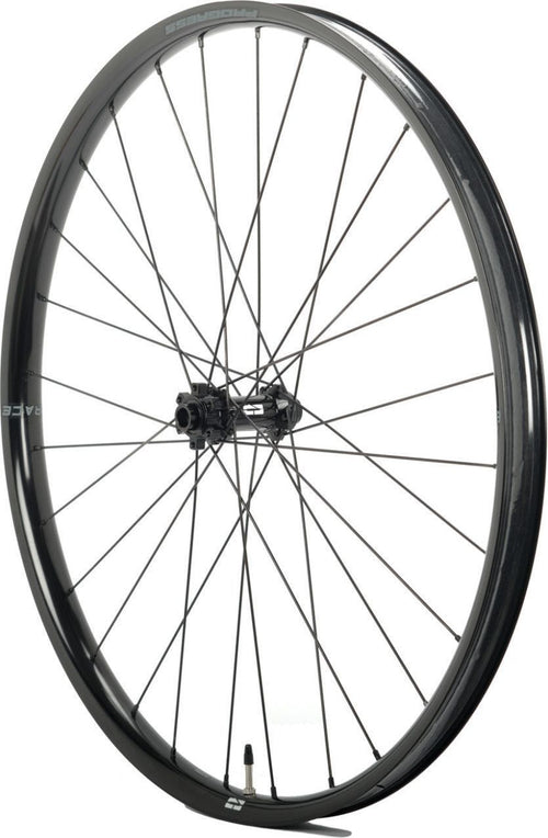 Paire de roues  Progress E:Race E-Bike | Boost 15x110/12x148mm | 6 Trous | Shimano Microspline