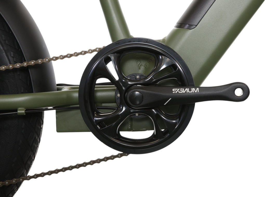 Vélo Cargo Shortail Électrique Bicyklet Shimano Altus 7V 670 Wh 20'' Vert Kaki