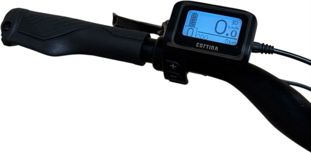 produit reconditionné . VanDijck Ceto Shimano Nexus 2021 . Vélo électrique . VanDijck . très bon état