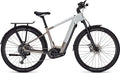 VTC Électrique Focus Planet² 6.8 ABS Shimano Cues 10V 625Wh 29'' Gris