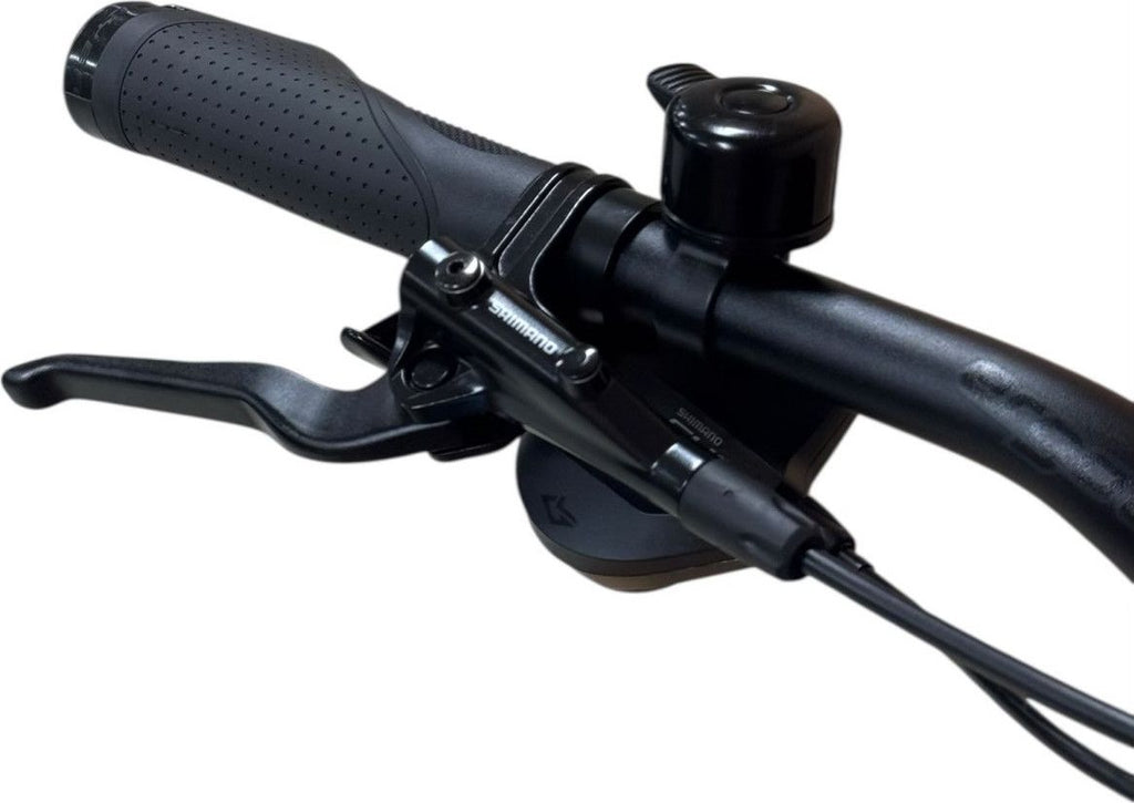 produit reconditionné . Flyer Gotour 7.12 XC Shimano Cues 2024 .  Vélo électrique . Flyer . très bon état