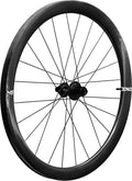 Roue Arrière Enve Foundation 45 | 12x142mm | CenterLock