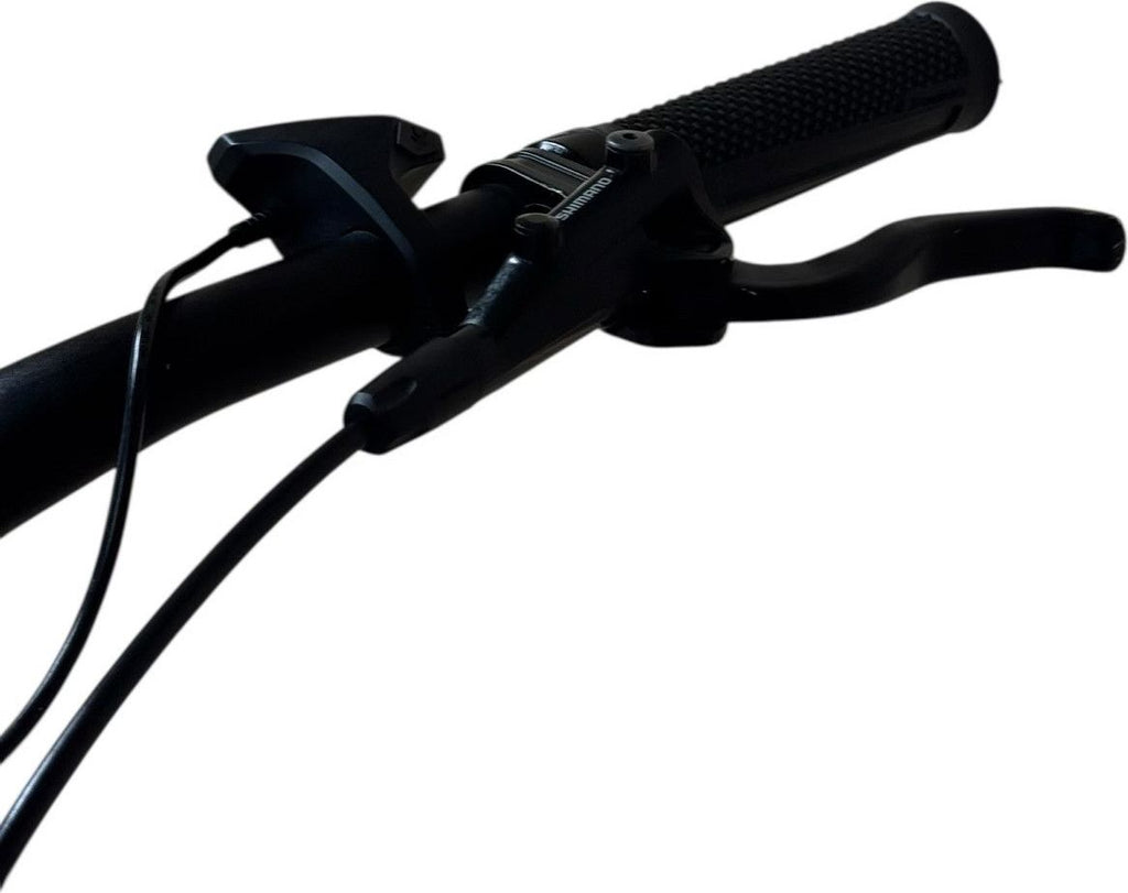 produit reconditionné . Cube Kathmandu Hybrid SL 625 Shimano XT 2021 . Vélo électrique . Cube . très bon état