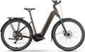 VTC Électrique Raymon Tahona Wave Shimano Essa 8V 600Wh 29'' Marron 2025
