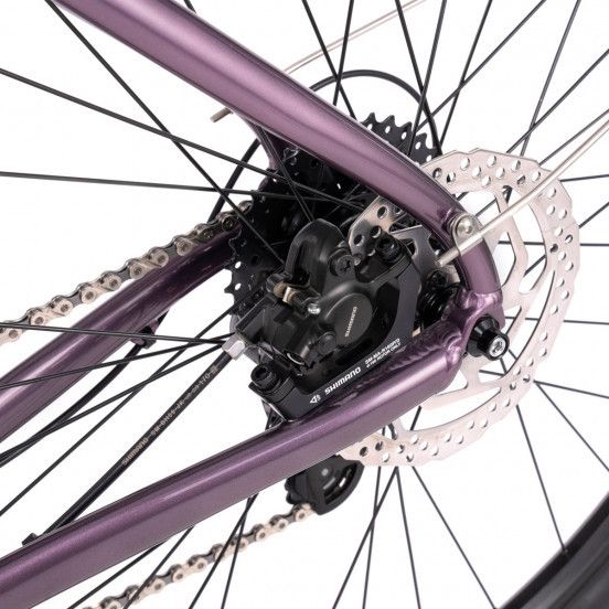 Gravel  BOMBTRACK Munroe Loop  Mettallic Purple