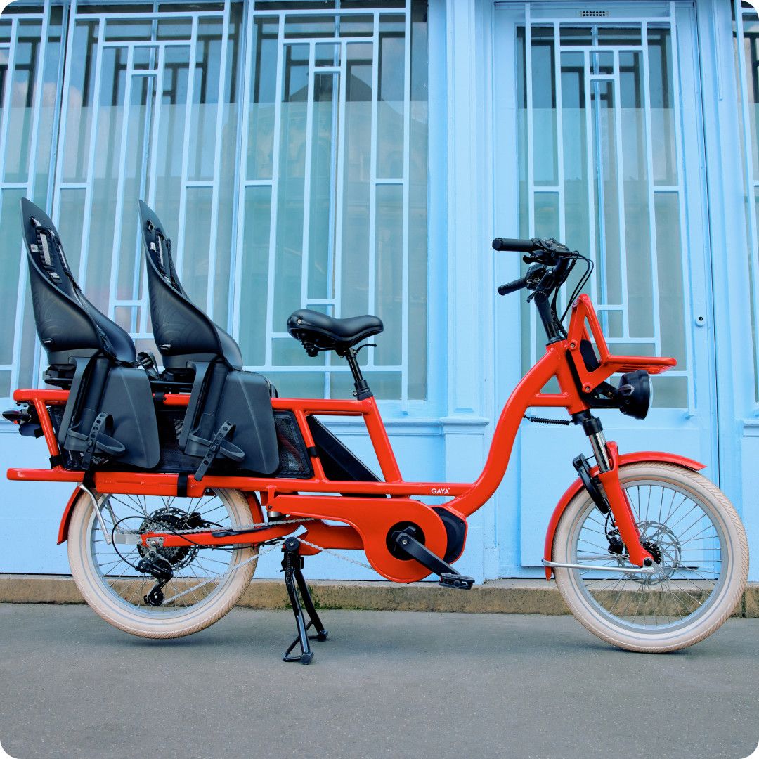 Vélo Cargo GAYA, L'Incroyable Le Long, Amande, pack bébés