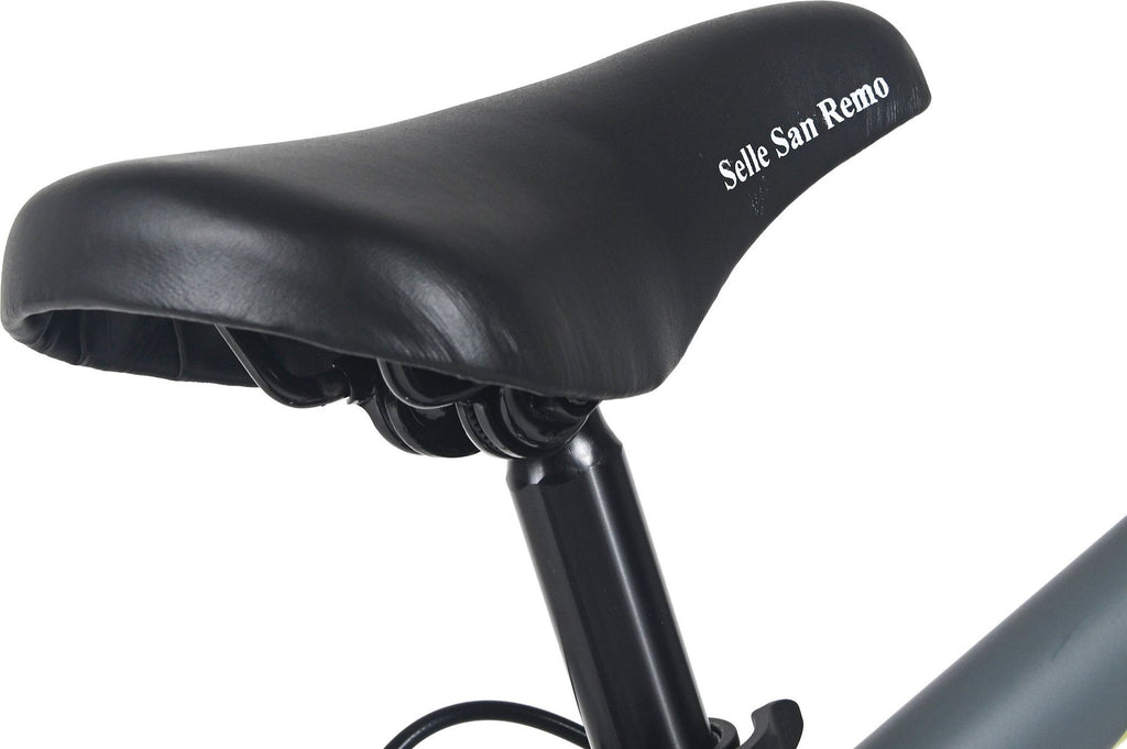 Vélo Enfant 24'' Mistral gris TC 32 cm 18 Vitesses WYLD