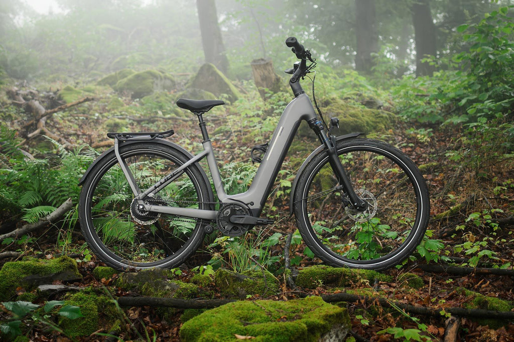 VTC Électrique Cube Kathmandu Hybrid Comfort Pro 800 Easy Entry Enviolo Trekking Courroie 800 Wh 700 mm Gris Slab 2026