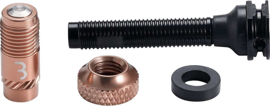 Valves Tubeless BBB CoreCap AL Bronze