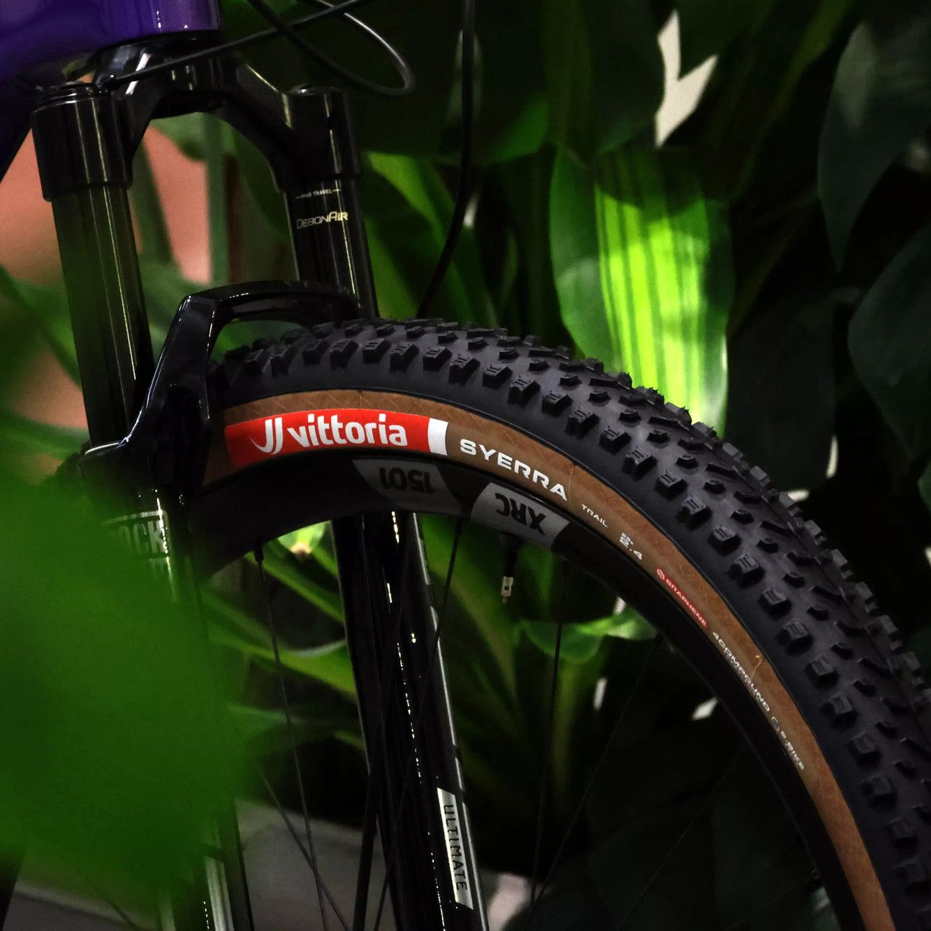 Pneu VTT Vittoria Syerra Trail 29'' Tubeless Ready Souple Anti-Puncture Belt Graphene 4Compound Formulation Flancs Marrons