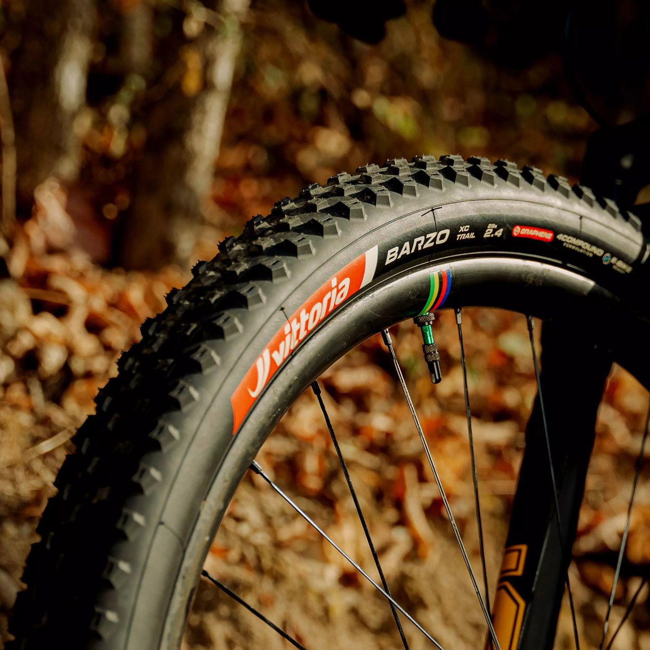Pneu VTT Vittoria Barzo XC Trail 29'' Tubeless Ready Souple Anti-Puncture Belt Graphene 4Compound Formulation