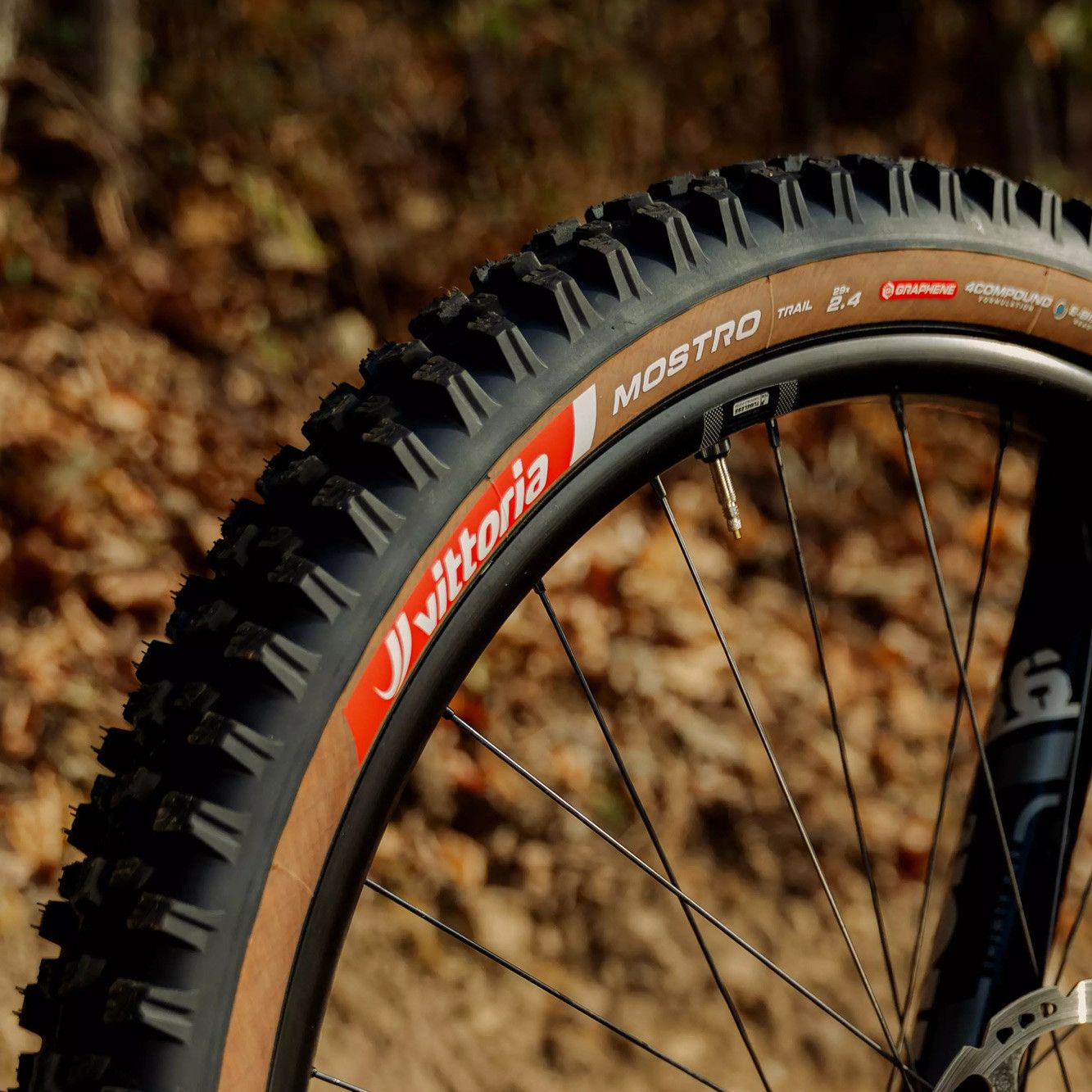 Pneu VTT Vittoria Mostro Trail 29'' Tubeless Ready Souple Anti-Puncture Belt Graphene 4Compound Formulation Flancs Marrons