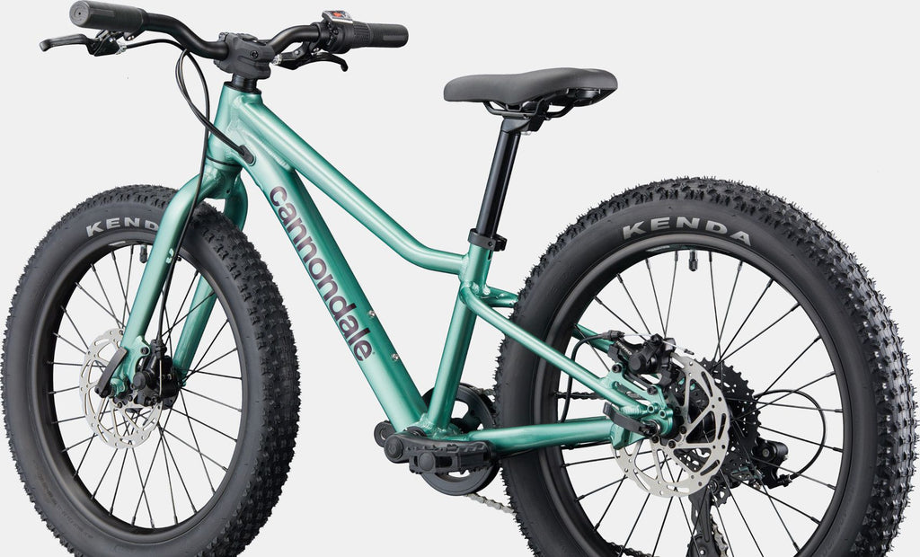 VTT Enfant Cannondale Kids Trail Plus 20" Vert