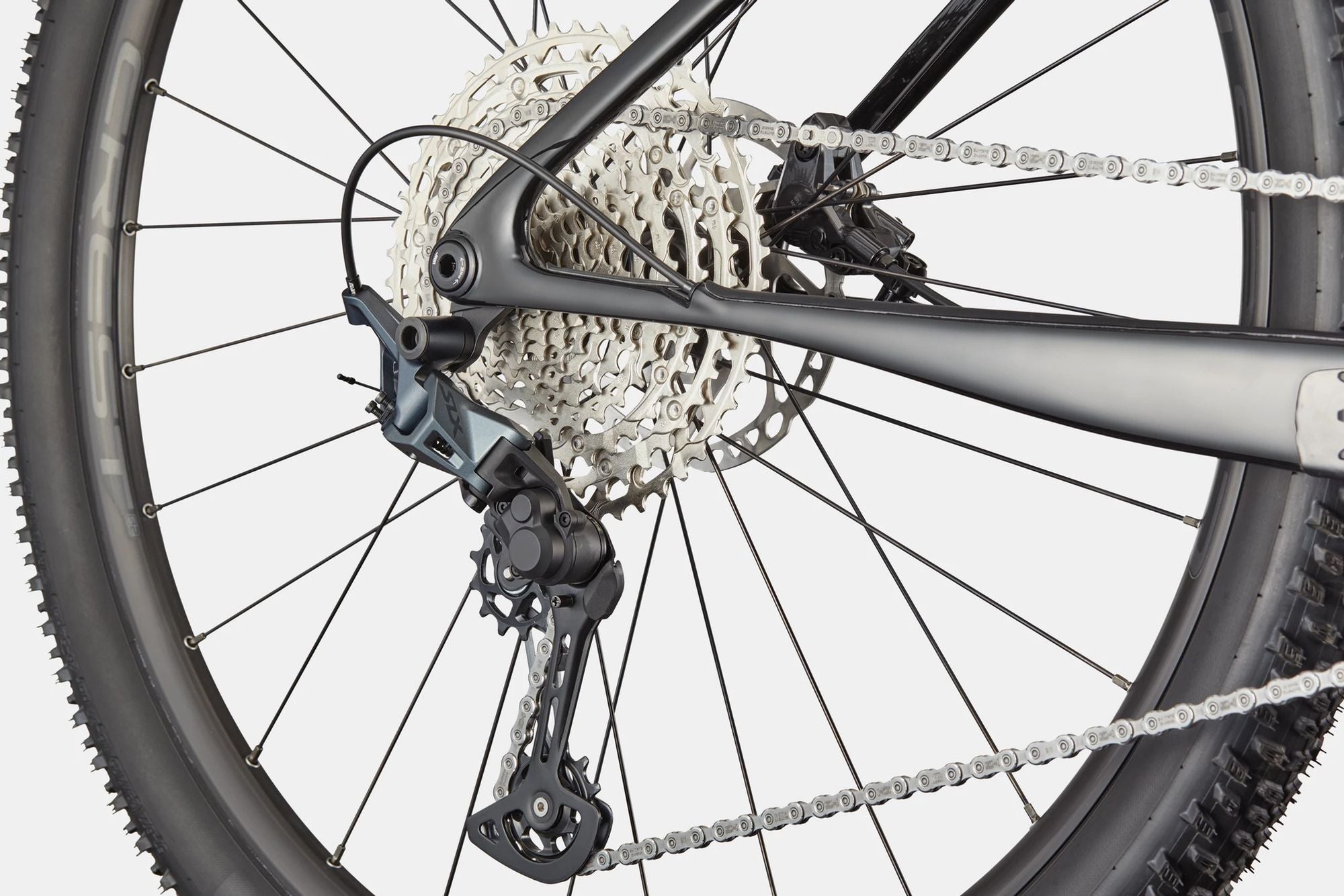 VTT Semi-Rigide Cannondale Scalpel HT Carbon 2 Shimano 12V 29'' Noir/Gris