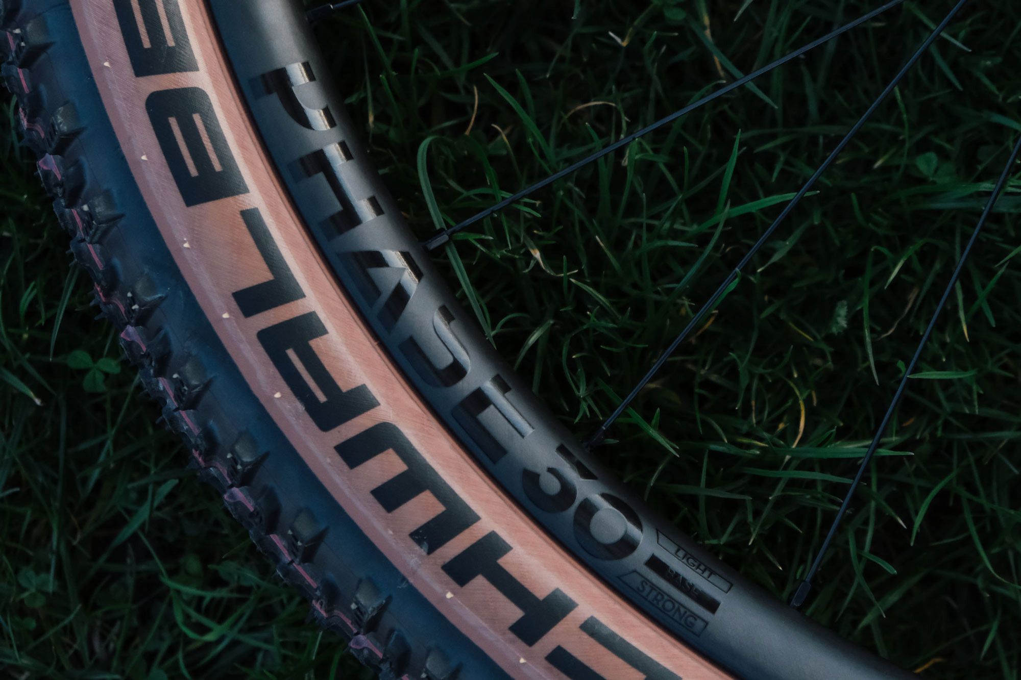Roue Arrière Newmen Phase 30 Base 29'' | Boost 12x148 mm | 6 Trous