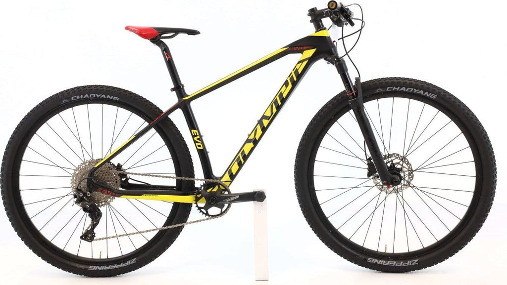 Produit reconditionné · Olympia EVO 29 XT / Vélo VTT | Très bon état