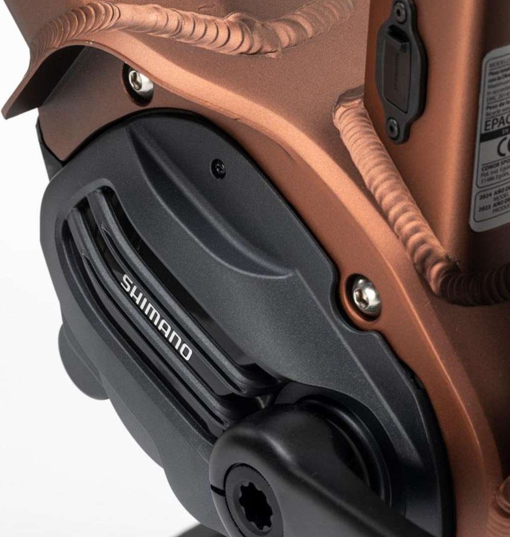 Produit reconditionné - Conor WRC Milan / 10v /  Très bon état