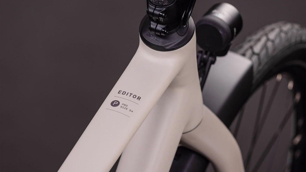 Vélo Fitness Cube Editor Pro FE Shimano Nexus 8V Courroie 700 mm Beige Gris Oat 2026