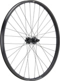 Roue Arrière Newmen Beskar 30 DH 27.5'' | Boost 12x148 mm | 6 Trous