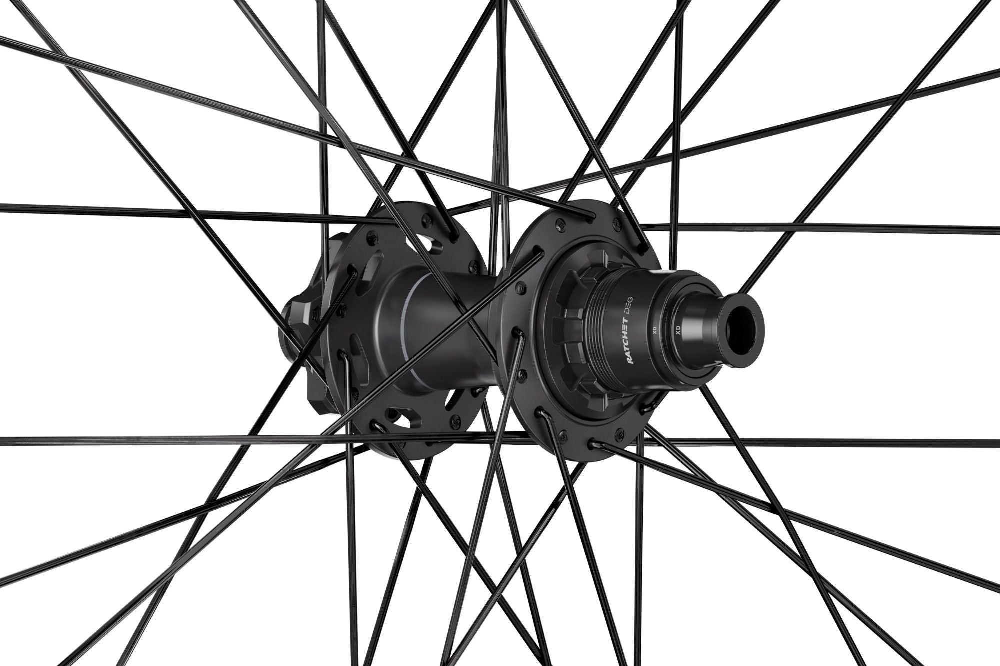 Roue Arrière DT Swiss EXC 1500 Classic 30 29'' | Boost 12x148 mm | 6 Trous