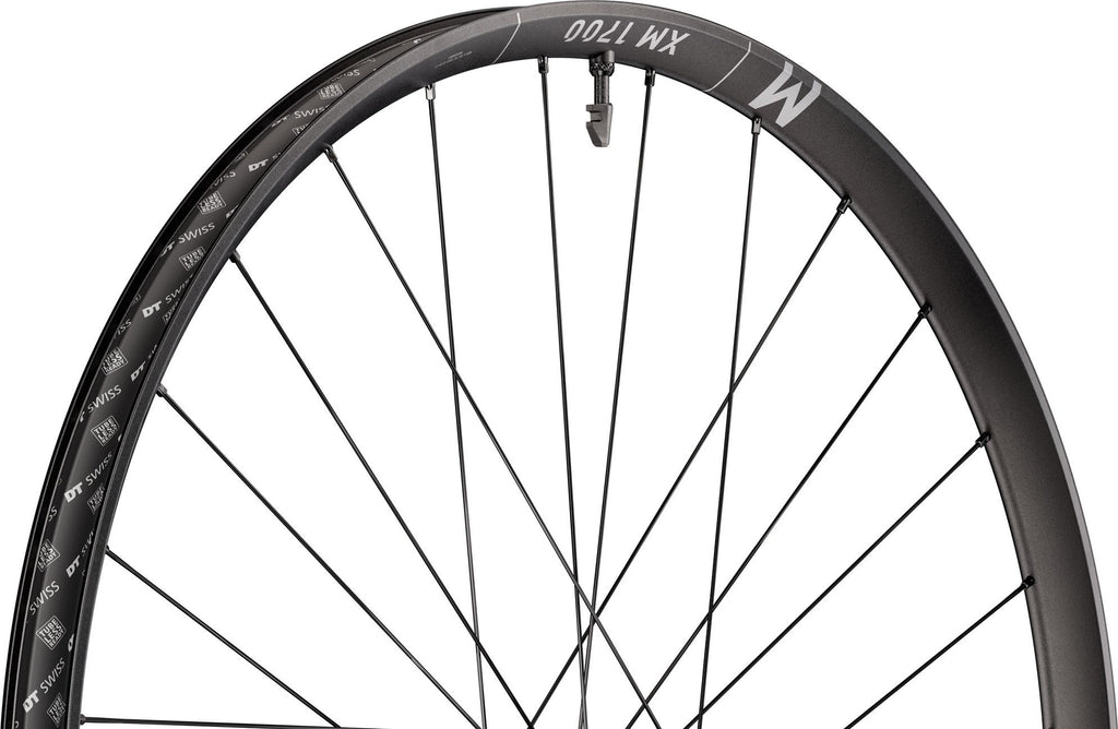 Roue Arrière DT Swiss XM 1700 Spline 30 29'' | Boost 12x148 mm | Center Lock
