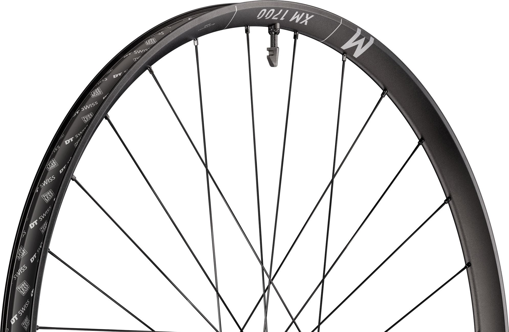 Roue Arrière DT Swiss XM 1700 Spline 30 29'' | Boost 12x148 mm | Center Lock