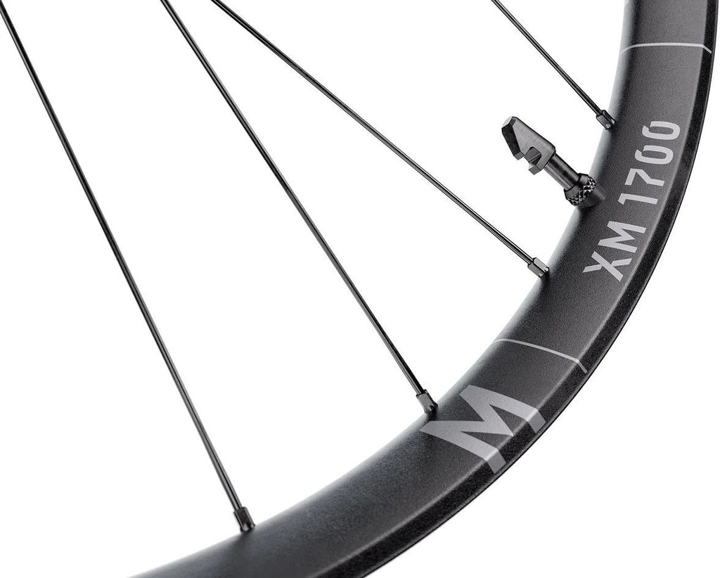 Roue Arrière DT Swiss XM 1700 Spline 30 29'' | Boost 12x148 mm | Center Lock