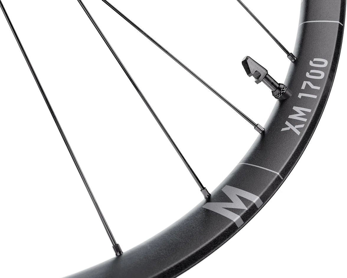 Roue Arrière DT Swiss XM 1700 Spline 30 29'' | Boost 12x148 mm | Center Lock