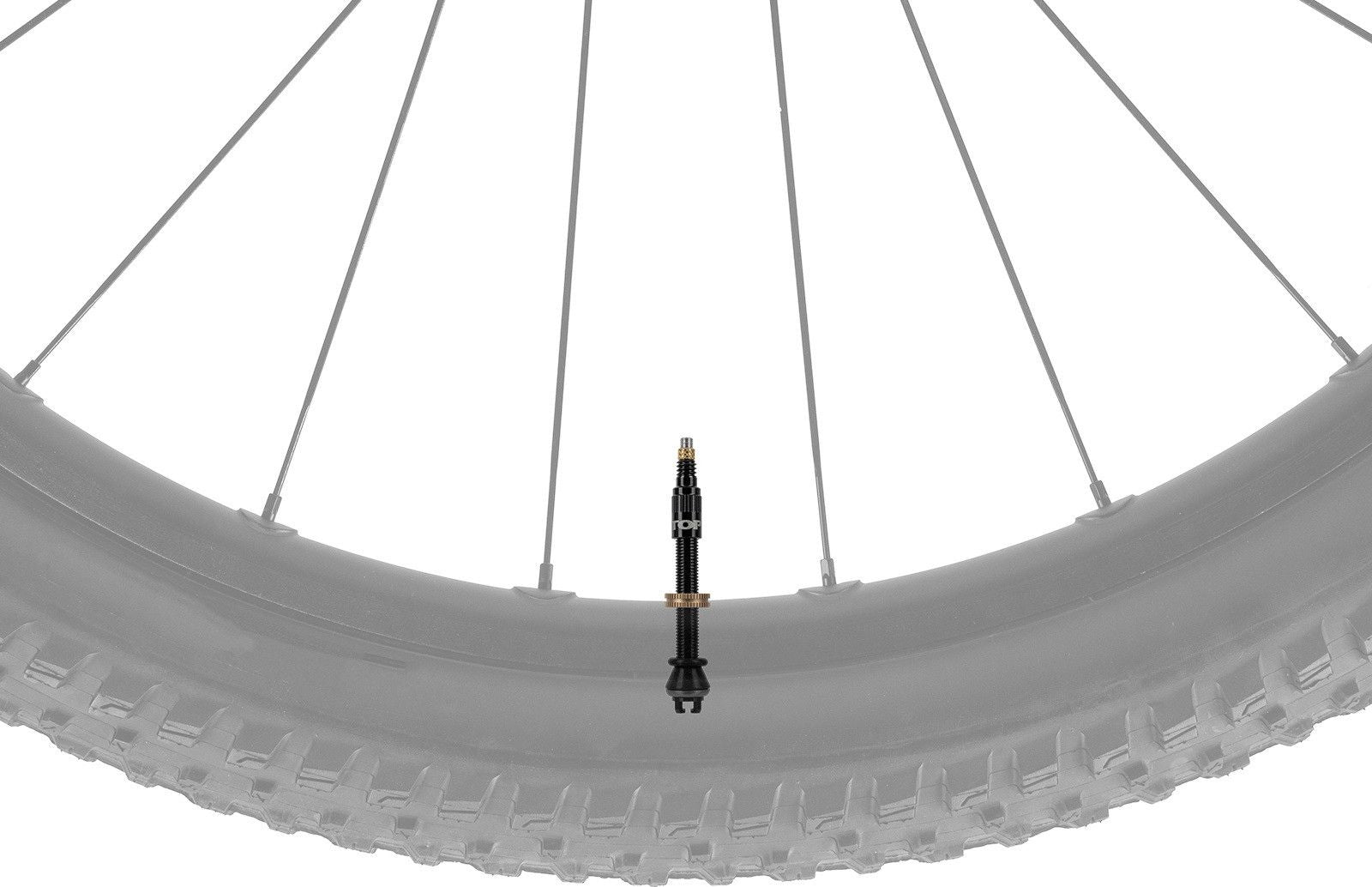 Paire de Valves Tubeless Topeak TurboFlow Noir