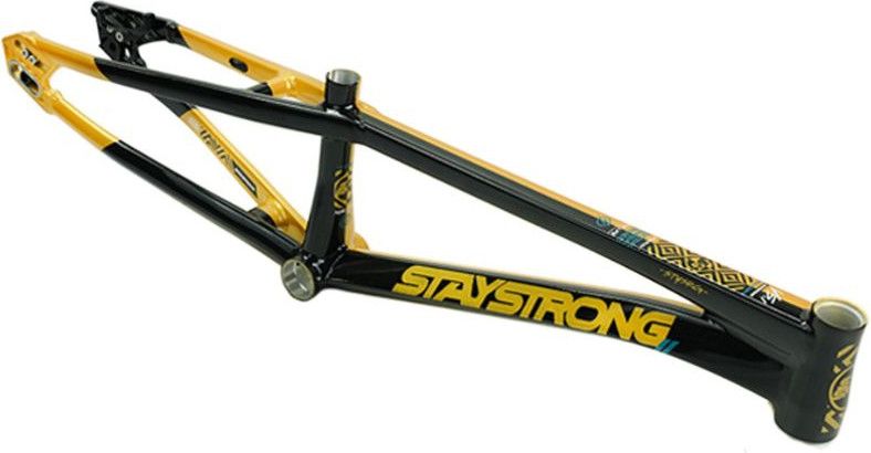 Cadre Stay Strong For Life V5.1 Cruiser Or/Noir