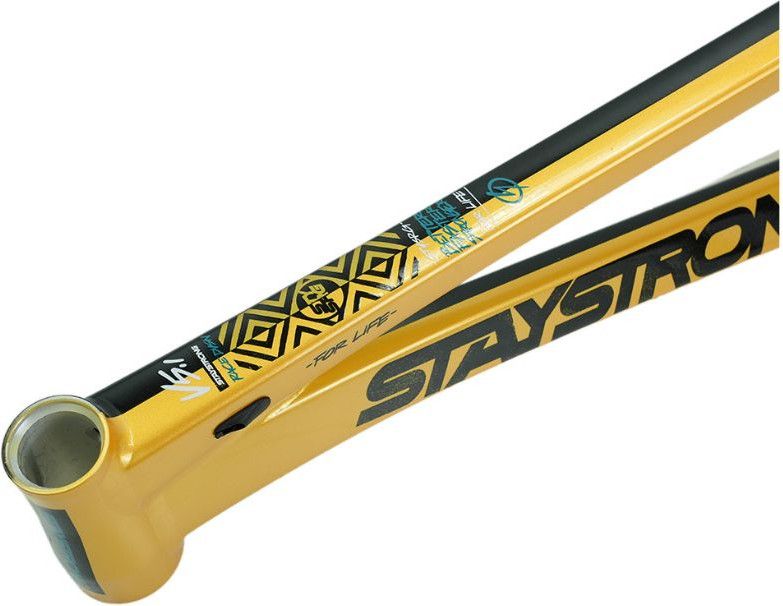 Cadre Stay Strong For Life V5.1 Cruiser Or/Noir
